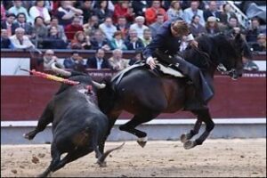 El ministerio de Cultura asume competencias en materia taurina