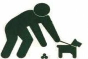 Preguntas Incómodas: ¿Qué piensa de los que son tan amantes de los perros y tienen tan poco civismo?