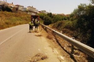 Realizan tareas de desbroce y limpieza de la carretera del Faro