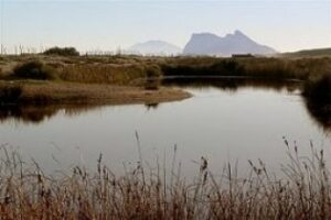 Verdemar recoge firmas para defender desde el "escaño 110" la protección de Guadalquitón como parque natural