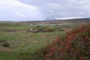 El POT del Campo de Gibraltar otorga la máxima protección al área de Guadalquitón