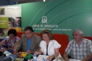 Márgenes y Vínculos atiende 19.869 personas en 2010