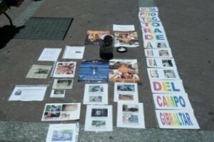 La protectora recauda utensilios y alimentos para animales en la calle Ancha