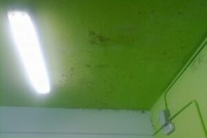 Carta al concejal de Educación Bernabé Ramírez del padre de un alumno del Tinoco