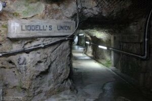 El Peñón acogerá una bodega de vinos de inversión