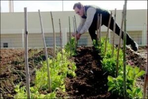 El Ayuntamiento busca ubicaciones en la ciudad para instalar huertos y jardines de ocio"