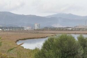 Cigüeña Negra considera "incomprensible" que se siga destinando dinero a la ZAL Bahía de Algeciras