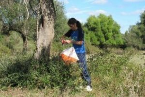 El club Los Pinos organiza la II Prueba "Ciudad de Algeciras" de orientación