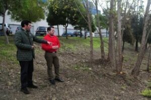 El Ayuntamiento informa que ha limpiado los jardines del del pabellón polideportivo Ciudad de Algeciras"