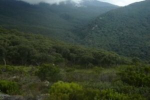 Domingo de senderismo por el Parque de los Alcornocales