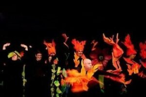 Un espectáculo visual para la integración del discapacitado intelectual