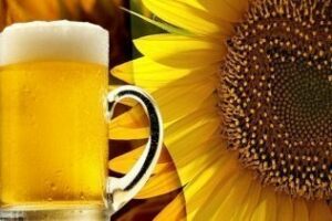 Investigadores de la UCA producen biocombustibles a partir del residuo de la cerveza