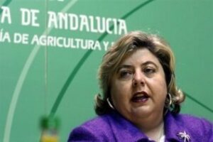 La Junta asegura que existe 'una entrada irregular fuera de todo control' de producto marroquí en la UE