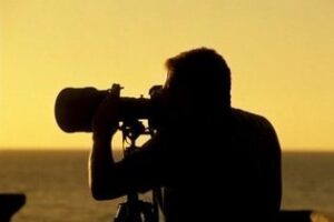 La UFCA busca fotógrafos con talento en el Campo de Gibraltar para becarlos