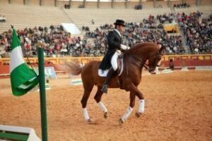 Algeciras disfruta con el espectáculo ecuestre Andalucía cabalga"