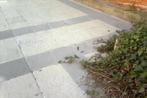 UPyD pide al Ayuntamiento que no descuide el mantenimiento de ninguna barriada