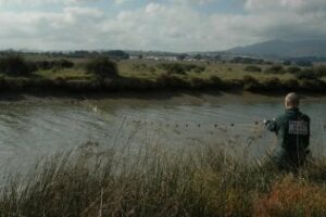 La Guardia Civil interviene una red tipo trasmallo en el Parque Natural del Río Palmones