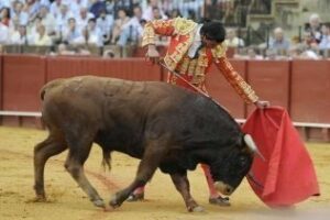 El novillero Salvador Barberán verá cumplido su sueño de doctorarse en Las Palomas en la próxima Feria de Algeciras