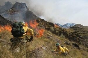 La sequía obliga a adelantar dos meses la quema forestal