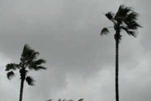 El reportaje de la semana. ¿Qué repercusiones ha tenido Algeciras con la llegada de un nuevo temporal?