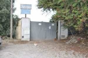 La protectora de Algeciras podría cerrar sus puertas por falta de voluntarios