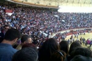 El Toro Embolao 2012 congrega a miles de personas en Los Barrios