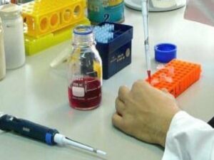 Andalucía elevó un 5% las patentes solicitadas y supera la media nacional