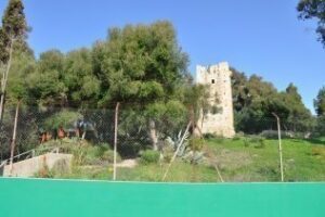 Visita extraordinaria a Carteia con acceso al teatro romano