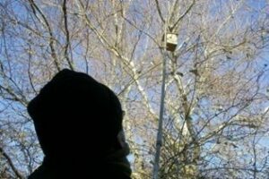 El colectivo Cigüeña Negra estudia la migración de las aves en Sicilia