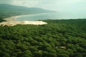 El Seprona evita una construcción ilegal en el PN del Estrecho