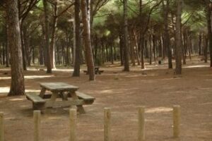 Condenado el profesor que abusó de dos alumnas en el Pinar del Rey