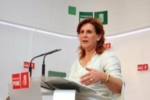 Rosa Torres: No se deben "pasar las líneas rojas" de la sanidad y la educación