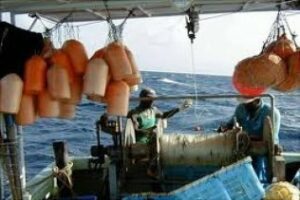 Pescadores de La Línea faenan "con normalidad" cerca del Peñón