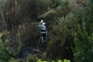 Un incendio de pasto afecta a 1´5 hectáreas en San García