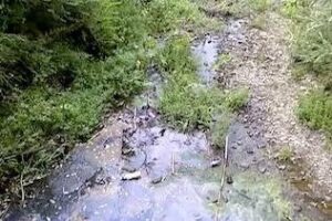 IU lanza una batería de iniciativas sobre la situación ambiental del río Pícaro