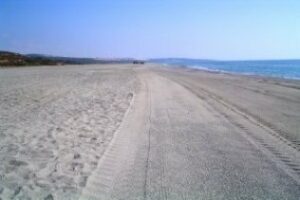 La Línea acoge con satisfacción sus tres banderas azules