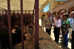 Inaugurada la edición número 163 de la Feria de Ganado de Algeciras
