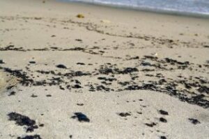 La playa de La Colonia recupera la normalidad tras el vertido de ayer