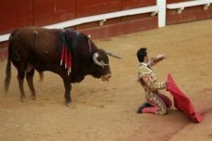 Desde el Tendido 5, como lo vi lo cuento: Pegajoso, un toro para la historia de Las Palomas