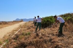 El Ayuntamiento realiza trabajos de desbroce en el Parque del Centenario