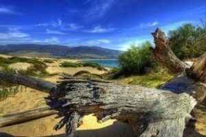 Casi un centenar de fotógrafos participan en el concurso Descubre Tarifa