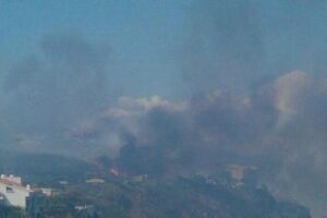 Detenido el presunto autor del incendio en San Martín del Tesorillo