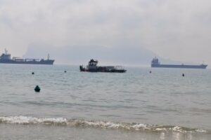 Ayuntamiento y APBA ponen en marcha un plan contra las medusas