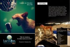 ¿Por qué el éxito de SAL, no seas soso?