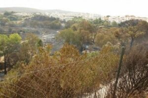 El fuego producido en San Roque termina arrasando unas 150 hectáreas