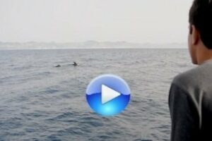 Yo reportero: Maravillas del Campo de Gibraltar