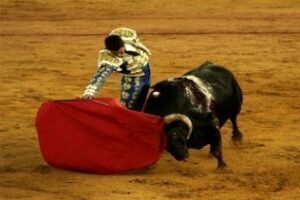 Torán defiende la libre elección del Taller de Tauromaquia de Tarifa