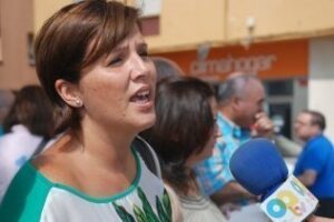 El PA pide a Landaluce que cumpla lo que prometió y arregle los colectores