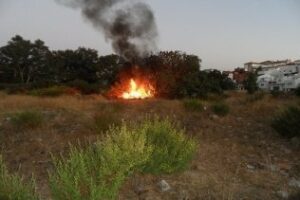 Bomberos frenan el avance a viviendas de un incendio de Monte Bajo en San Enrique de Guadiaro