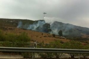 Un incendio forestal afecta a una zona de Sierra Carbonera